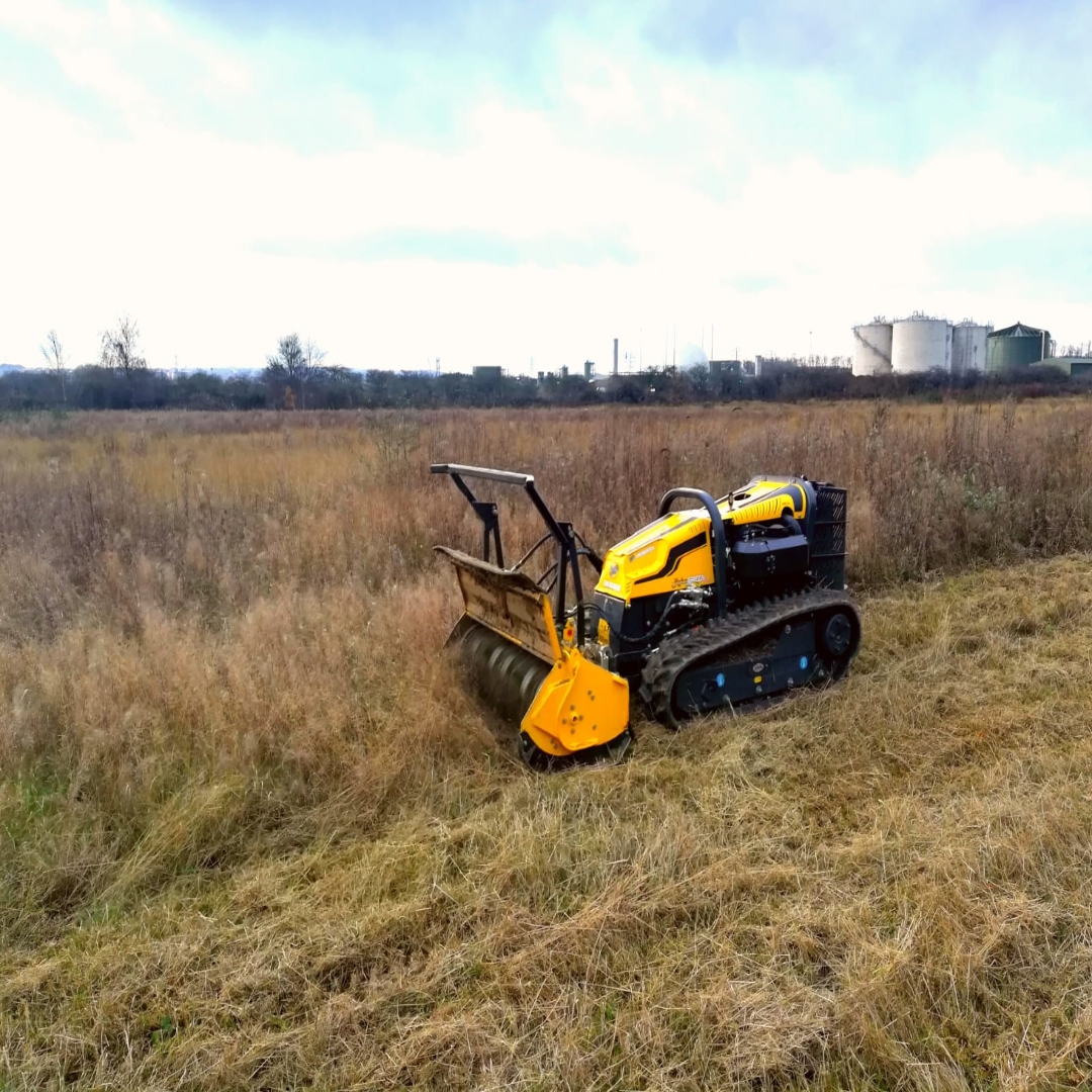 Site Clearance